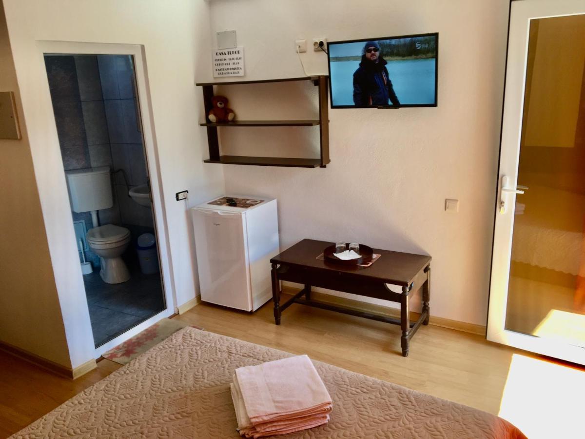 Casa Tudor קוסטינסטי מראה חיצוני תמונה
